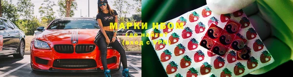 бошки Алексин