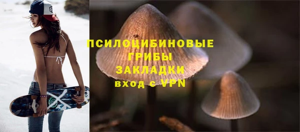 таблы Алзамай
