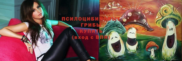 MDMA Алексеевка